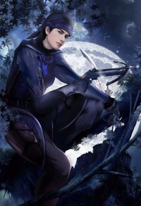 武俠之徵服系統