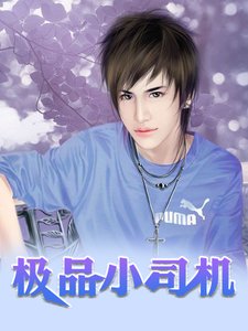 极品小司机